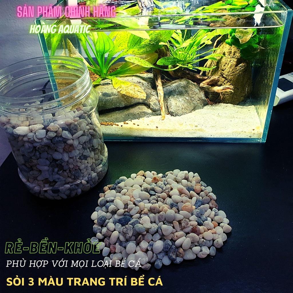 Sỏi 3 Màu Trang Trí Bể Cá, Tiểu Cảnh, Giá Rẻ (100G)