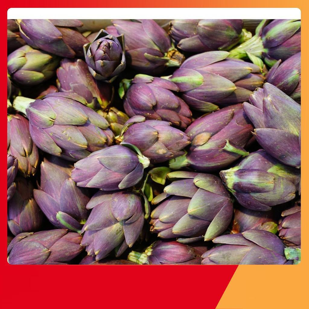 Hạt Giống Hoa Atiso Tím -