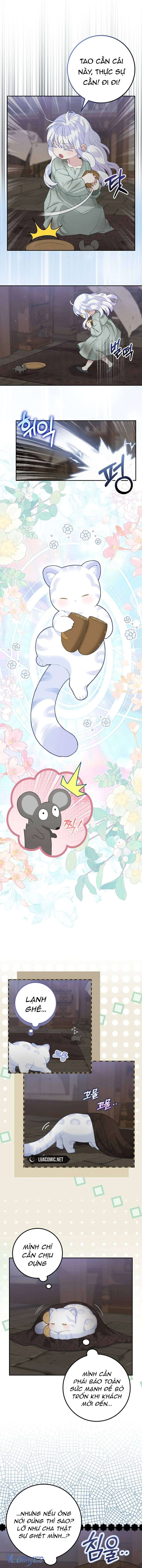 bé con báo tuyết của gia tộc báo đen chapter 2 4