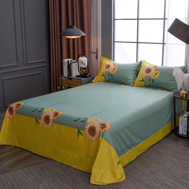 Bộ Cotton Organic 4 món mẫu mới
