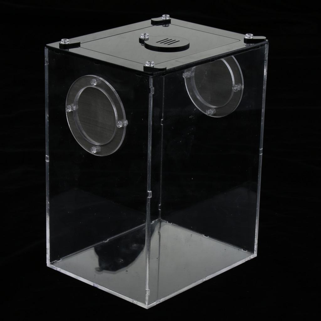 2pcs Reptile Feeding Box Transparent Cage Hatching Container For Lizards