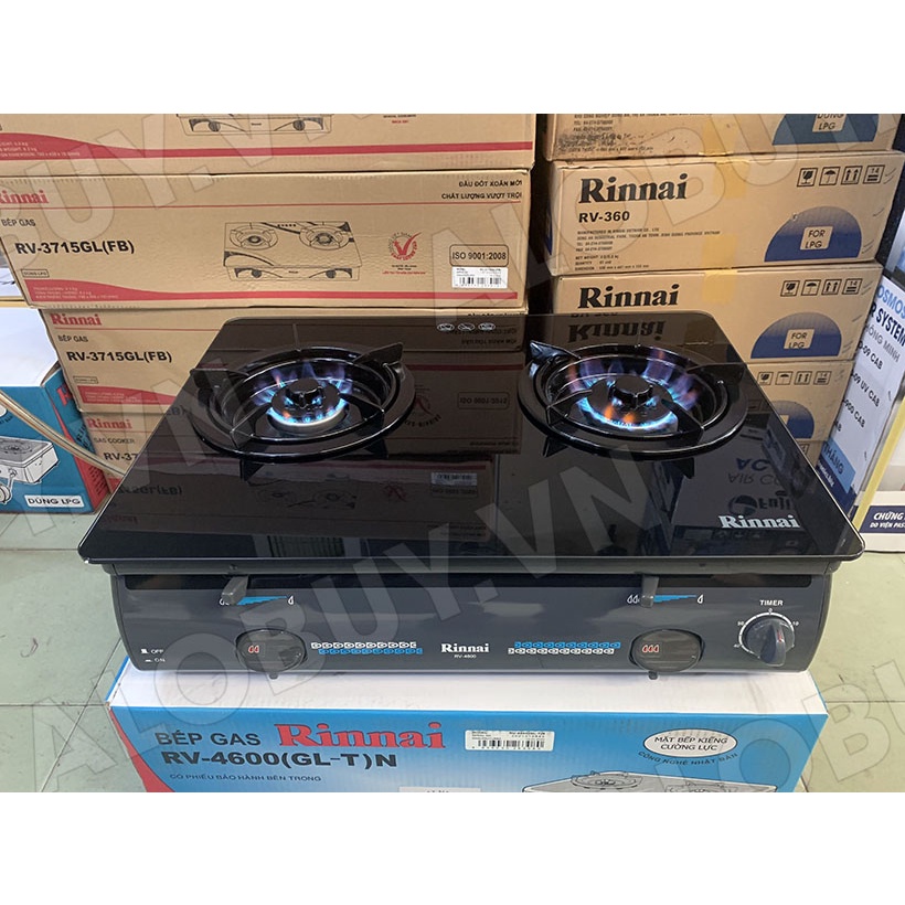 Bếp gas 6 tấc Rinnai RV-4600GLT, 2 vòng lửa có ngắt gas tự động - Hàng chính hãng