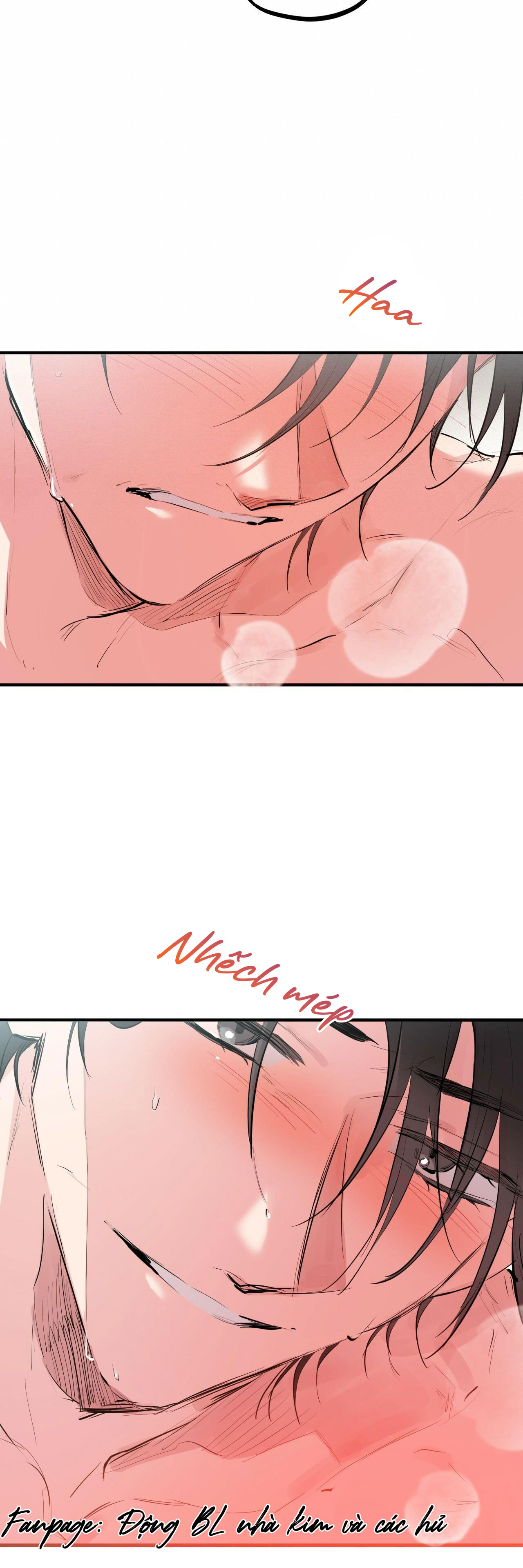 những chú thỏ của hapypy chapter 29 15