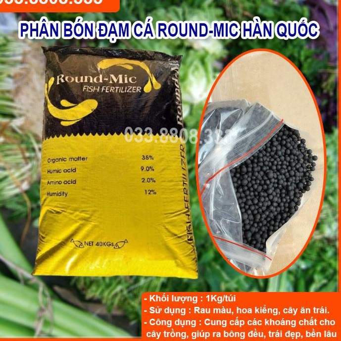 Đạm Cá Hàn Quốc Round Mic 100g - Hàng Tốt Giá Rẻ