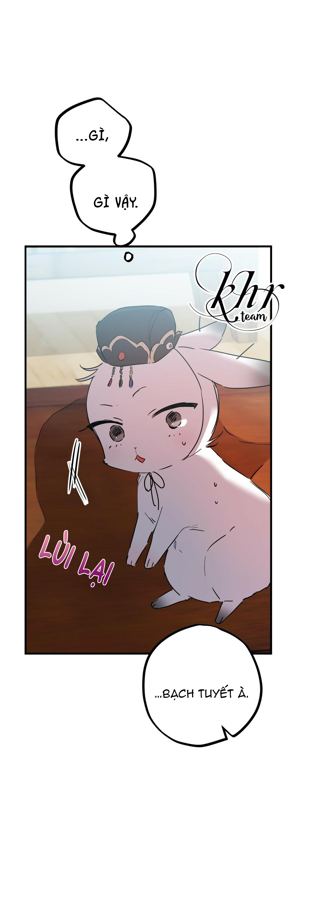 những chú thỏ của hapypy chapter 16 27