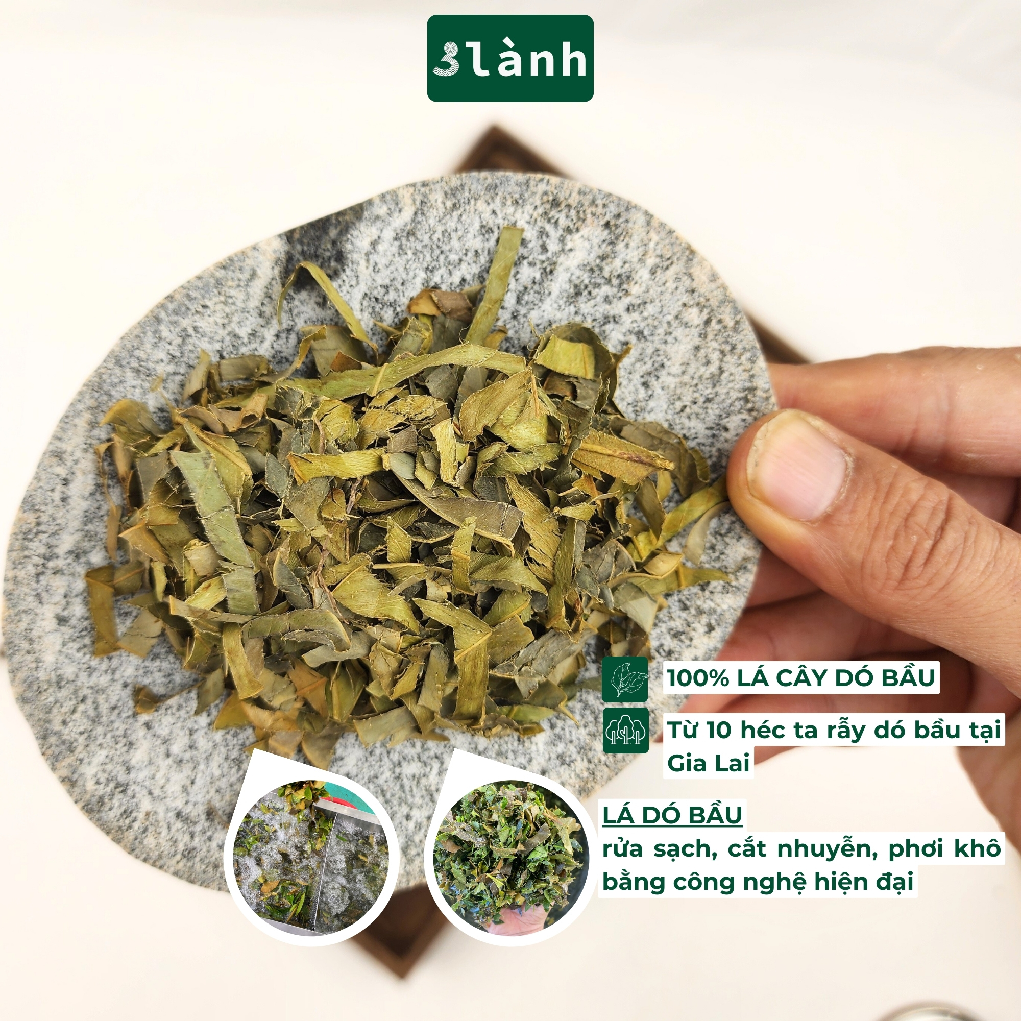 Trà Trầm Hương Dạng Lá Hộp 50gr 3 Lành Hoàn Toàn Từ Lá Dó Bầu Ngủ Ngon Giảm Stress