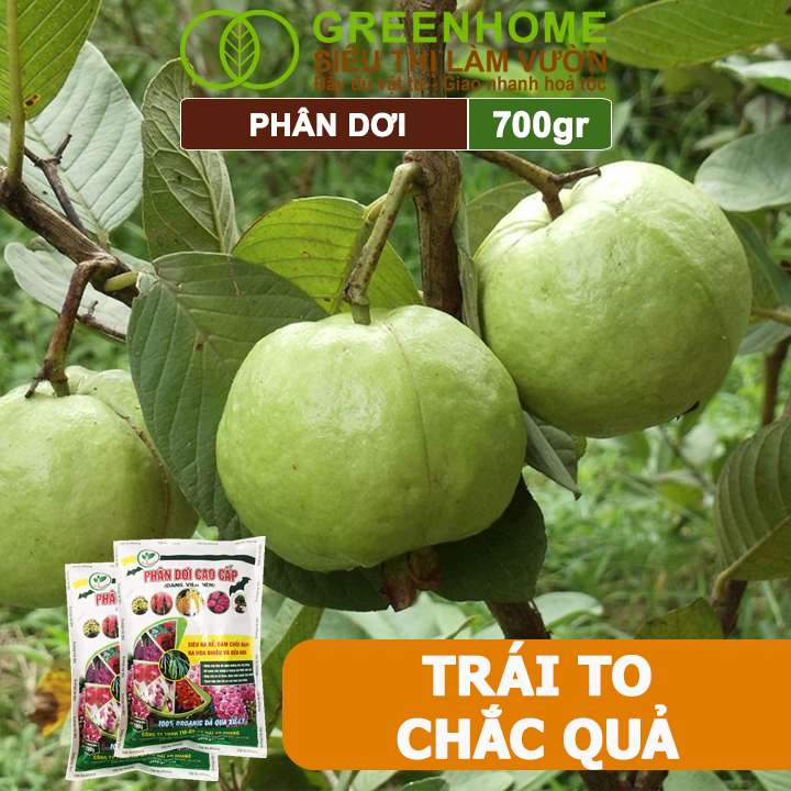 Phân Dơi Greenhome, Bao 700gr, Viên Nén, Đã Qua Xử Lý, Ra Rễ Mạnh, Hoa Nhiều, Tốt Cho Lan, Kiểng, Rau, Cây Ăn Trái