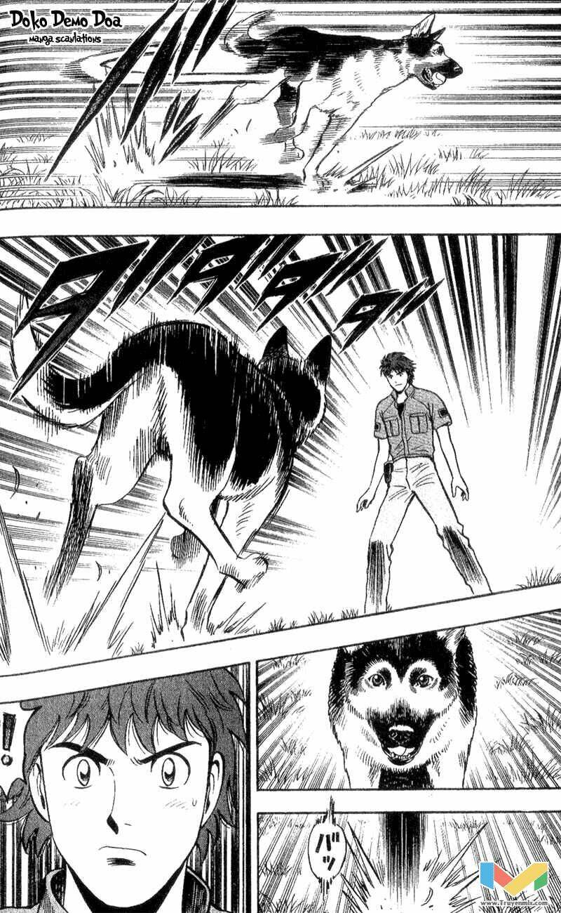 animal sense chapter 3 36