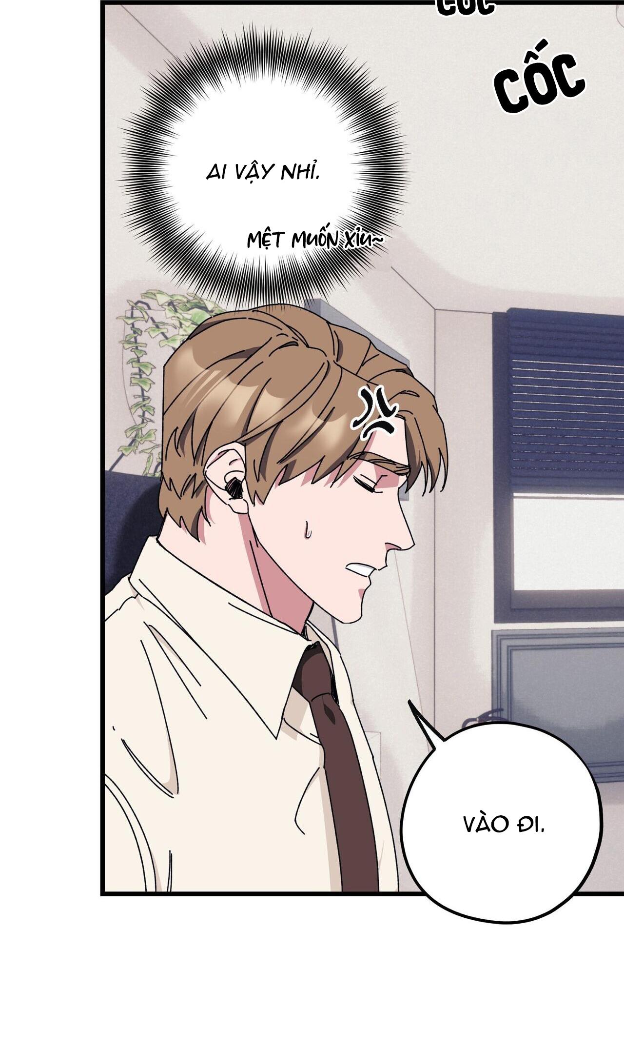 làm dâu nhà tài phiệt họ kang chapter 38 71