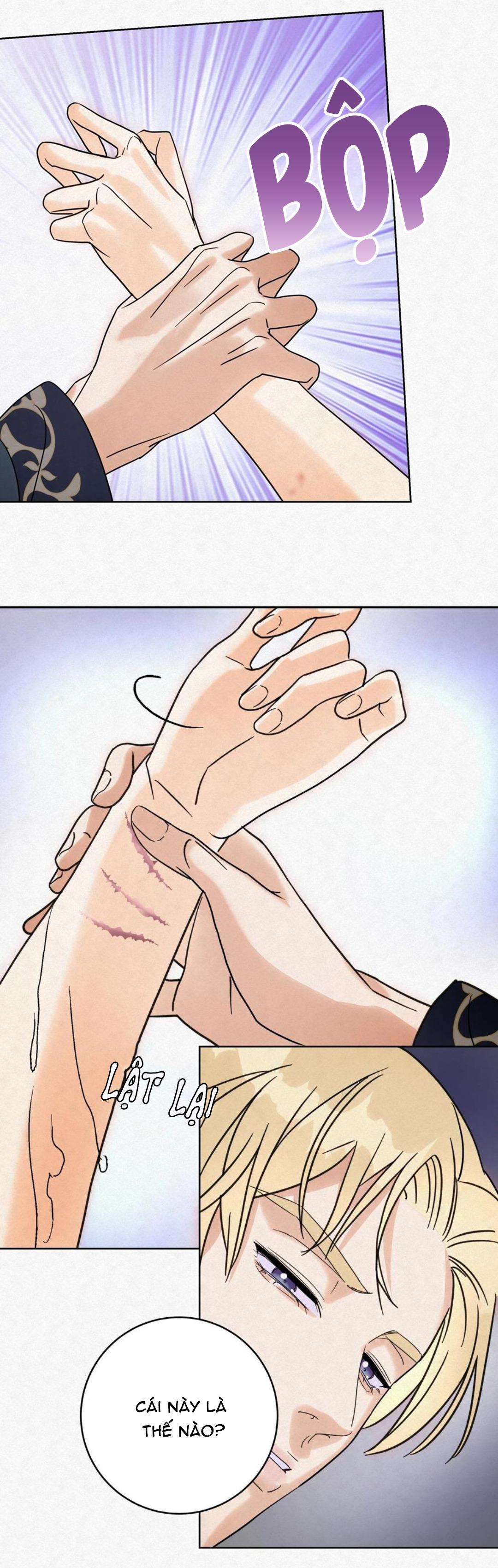 anh trai rẻ tiền của tôi chapter 14 14