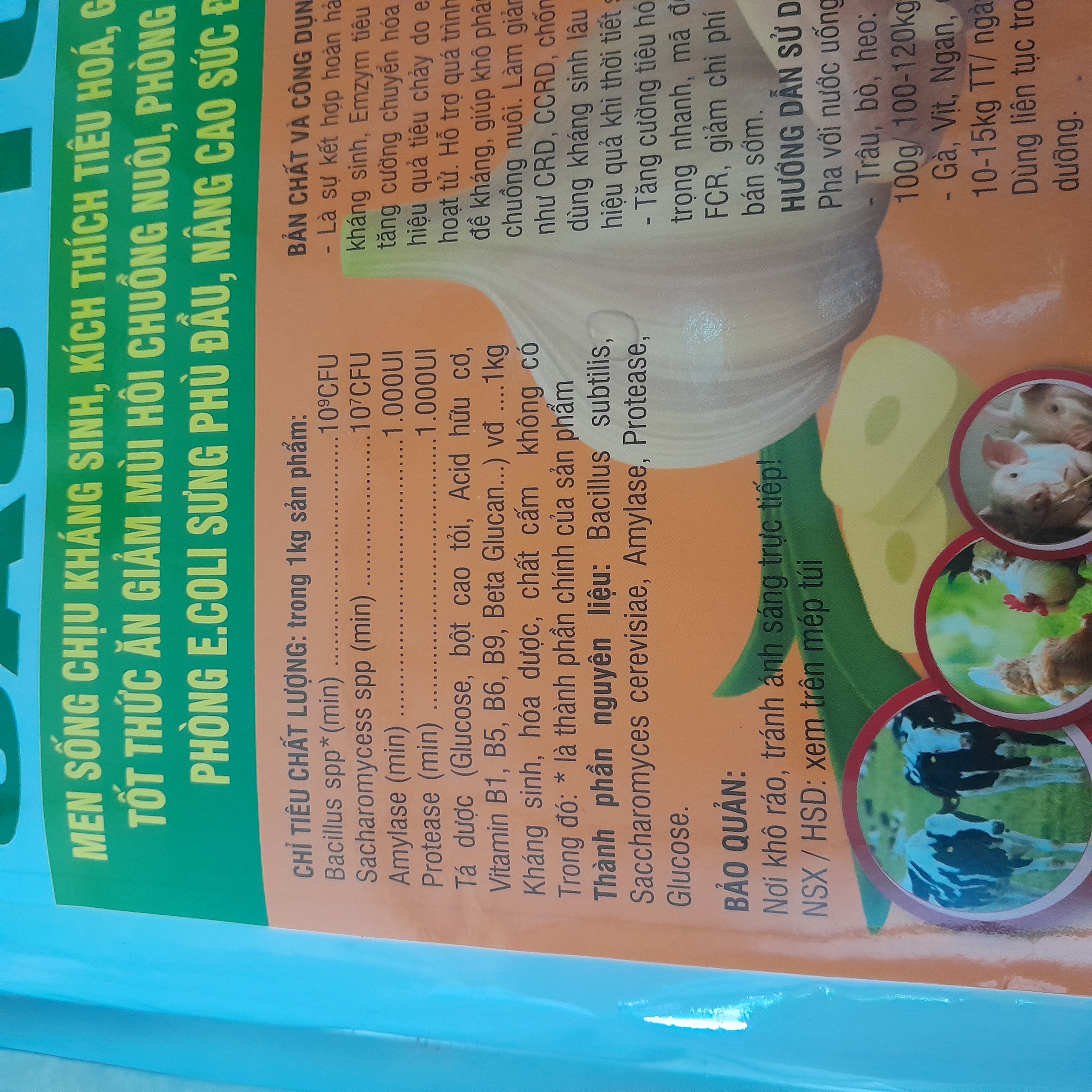 Men sống cao tỏi 1kg chịu kháng sinh, kích thích tăng trưởng