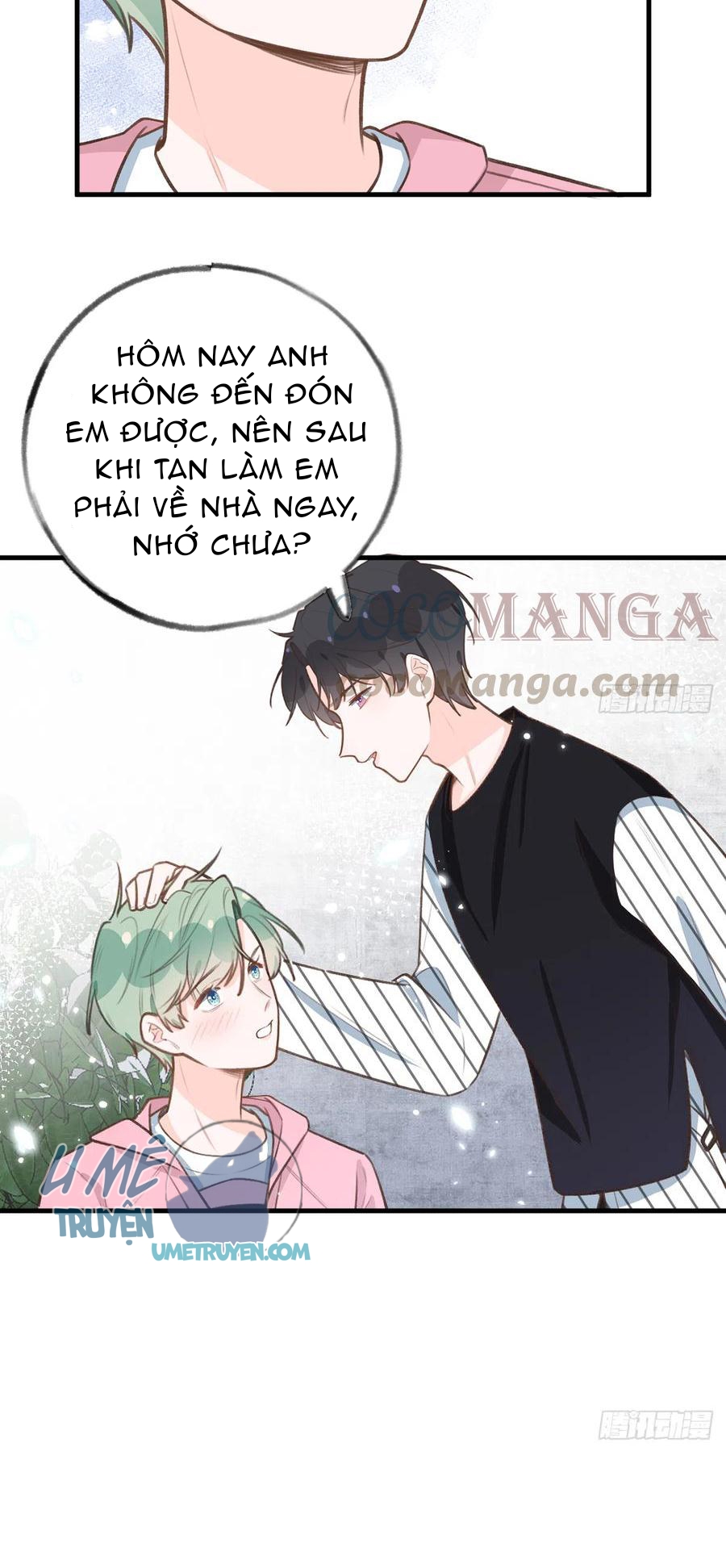 Tình Yêu Mạng Ngọt Ngào Lật Xe Rồi! chapter 82