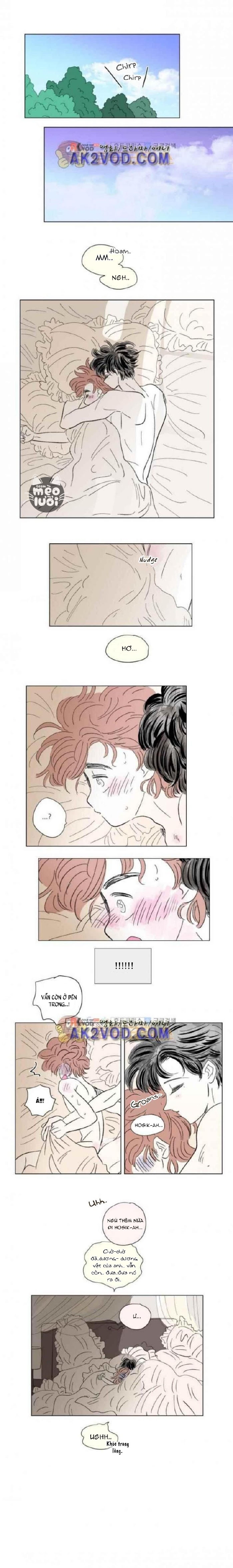 câu chuyện của hosik chapter 60 7