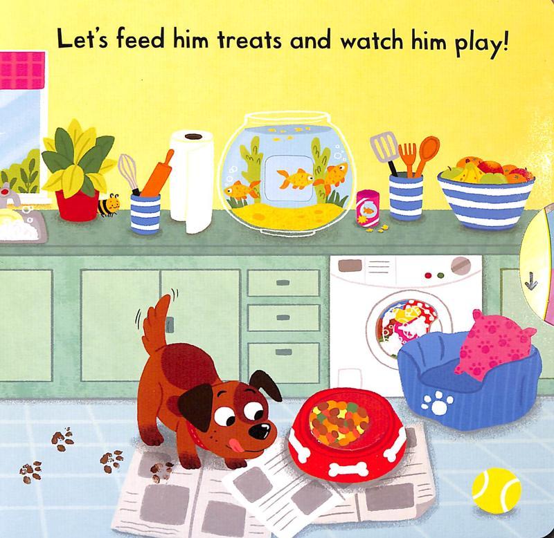 Busy Pets (Campbell Busy Books 57)