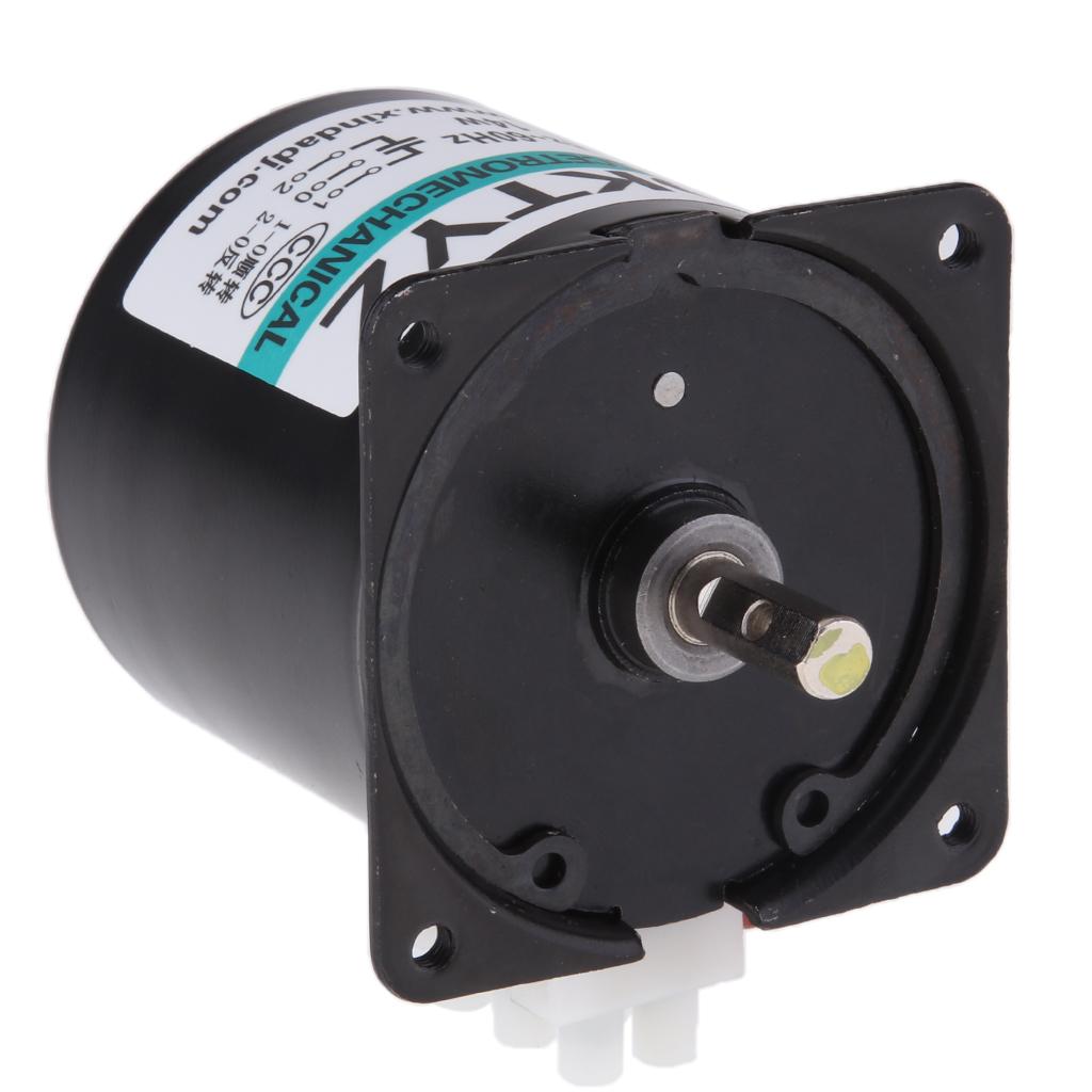 60KTYZ 220V 20RPM Permanent