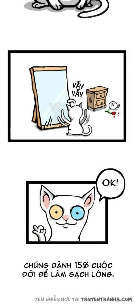 earth, human, and animal chapter 12 16