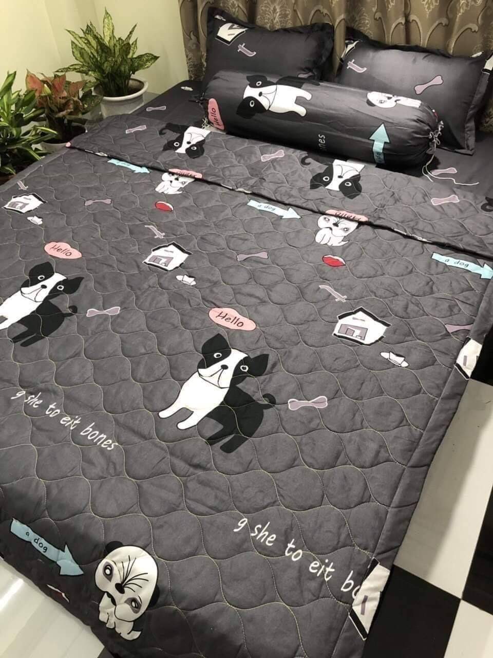 Bộ chăn ga gối 5 món