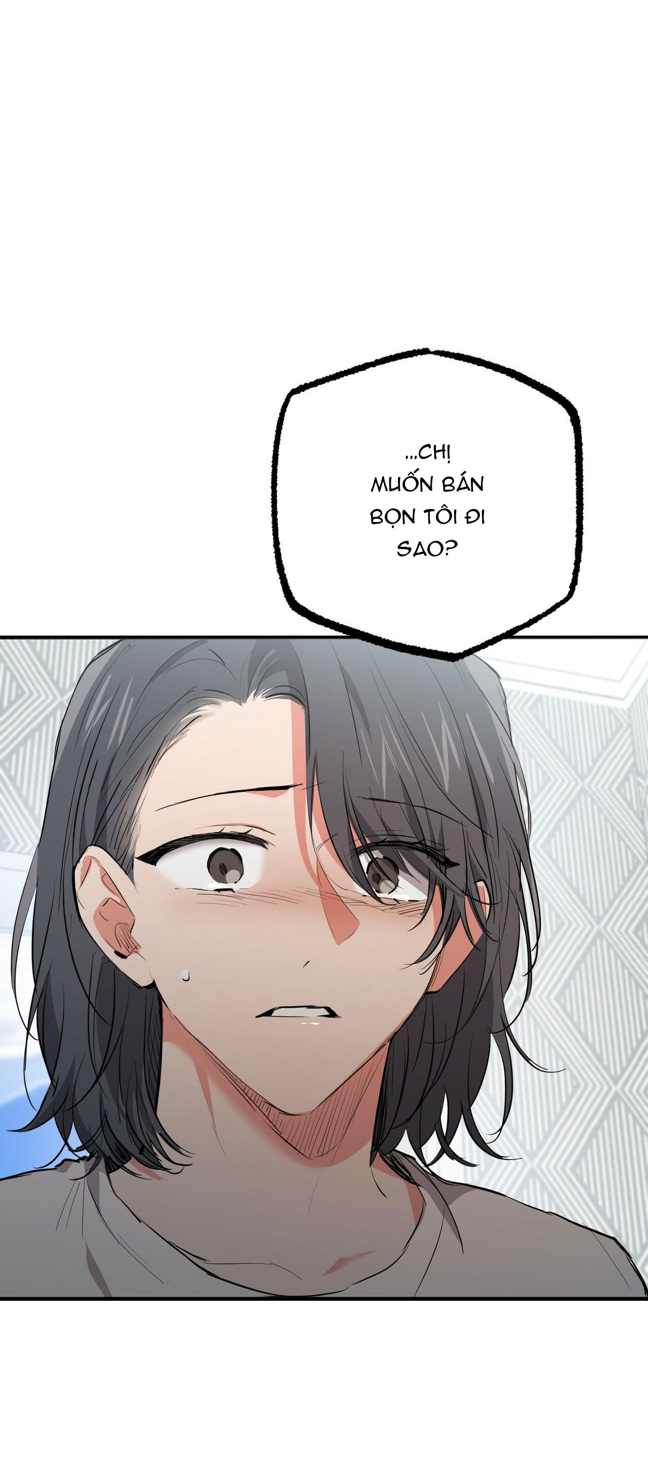 những chú thỏ của hapypy chapter 36 45