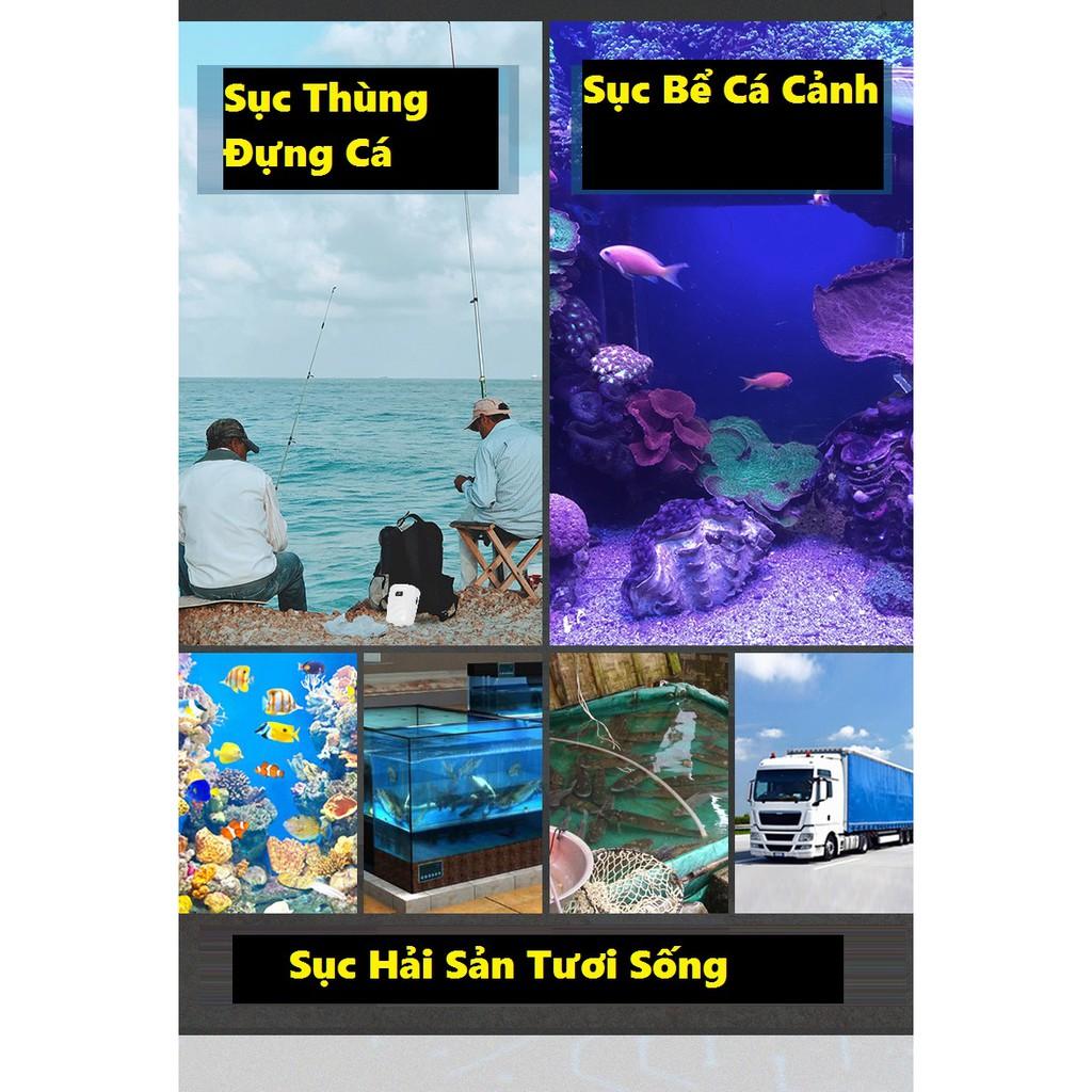 Sục Oxy Thùng Đựng Cá Sống, Bể Cá Giá Rẻ Tích Điện DC 900 Sanami Fishing siêu bền, tiết kiệm,gọn nhẹ,