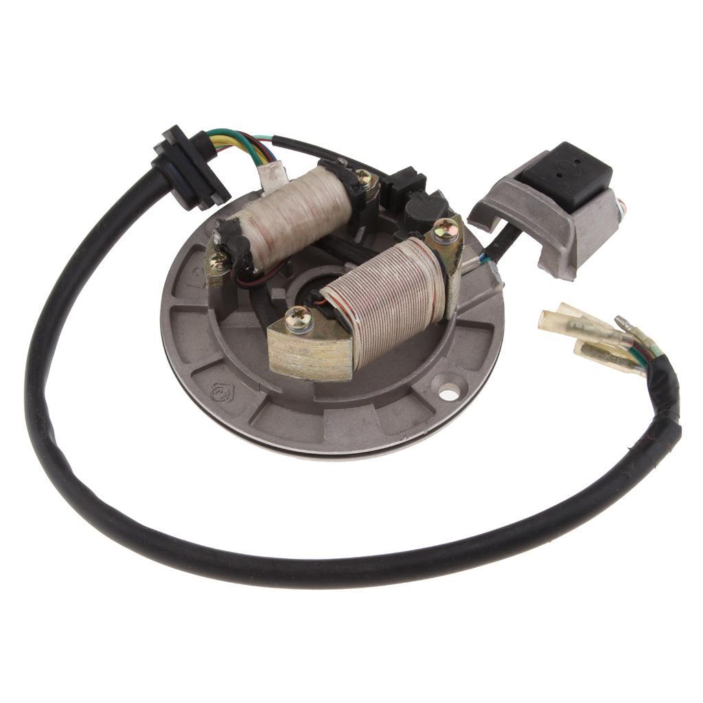 Ignition Stator Magnet Plate for Quad ATV Kart Bike 90cc 110cc 125cc 140cc