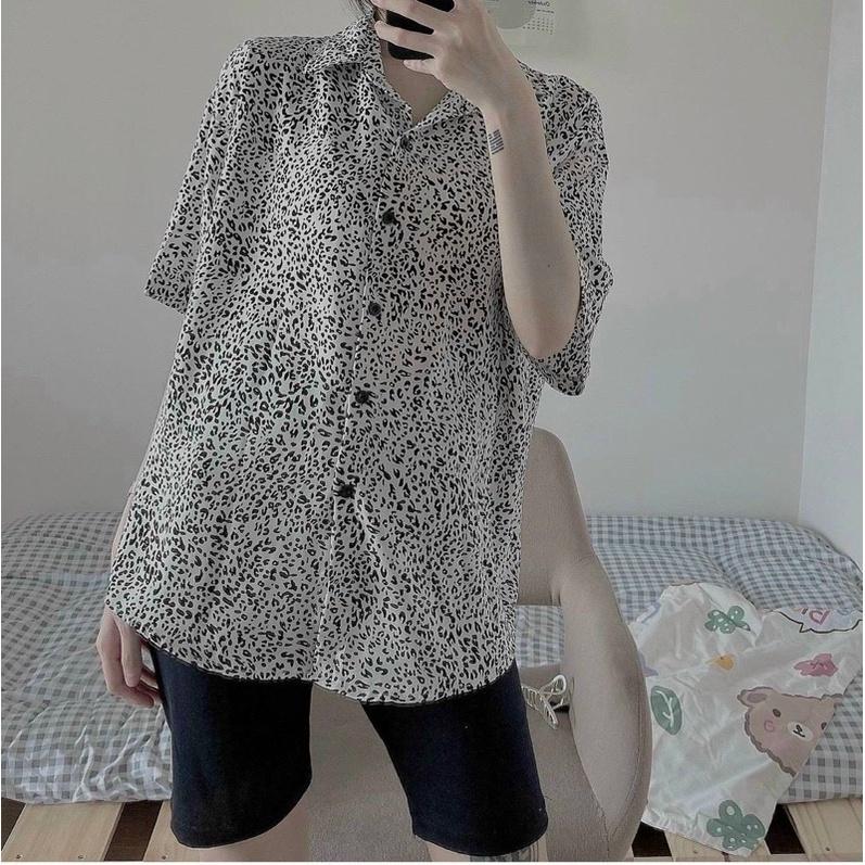 SET SƠ MI BEO + QUẦN LEGGING LỬNG
