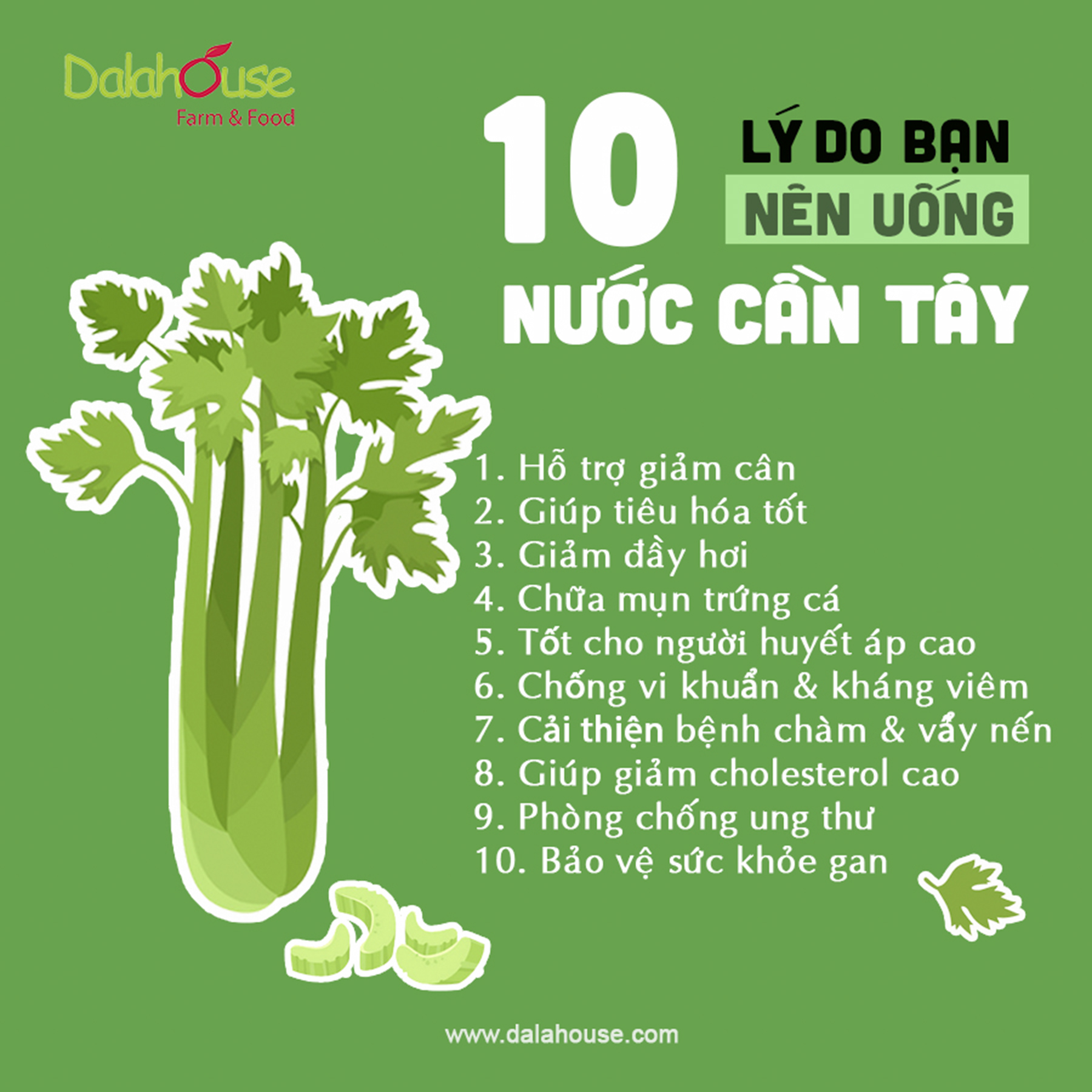 Bột Cần Tây Nguyên Chất Dalahouse Hộp 60g - cần tây giảm cân hiệu quả, detox thanh nhiệt giải độc, làm đẹp da