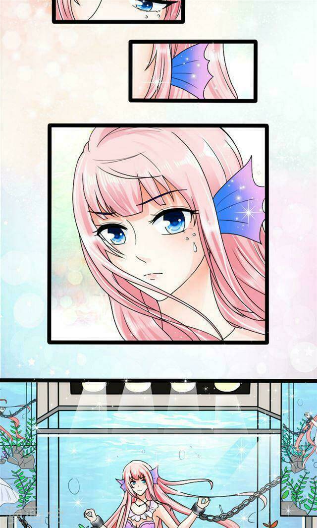 sủng vật người cá của tổng tài chapter 2 11