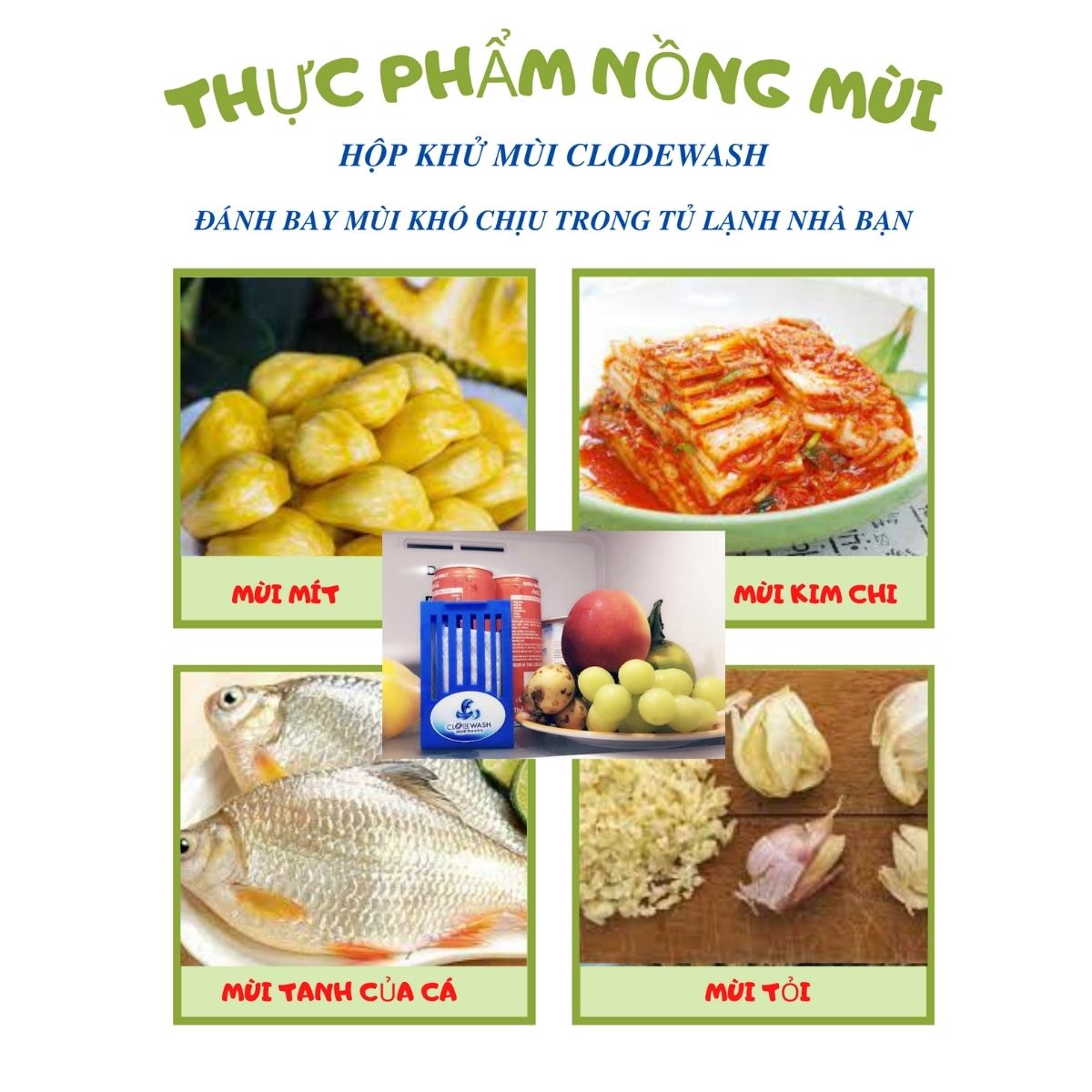 HỘP KHỬ MÙI ĐA NĂNG CLODEWASH