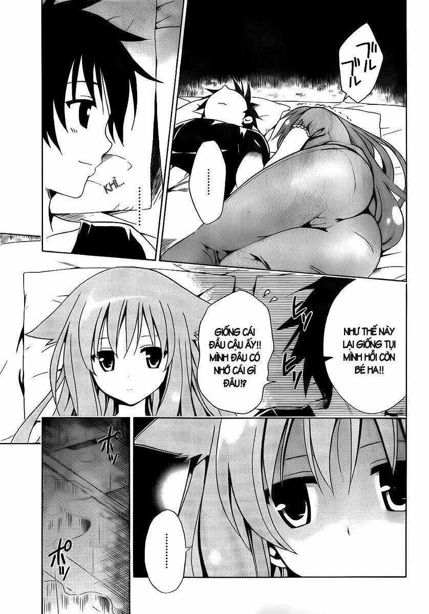 mayoi neko overrun! chapter 1 51