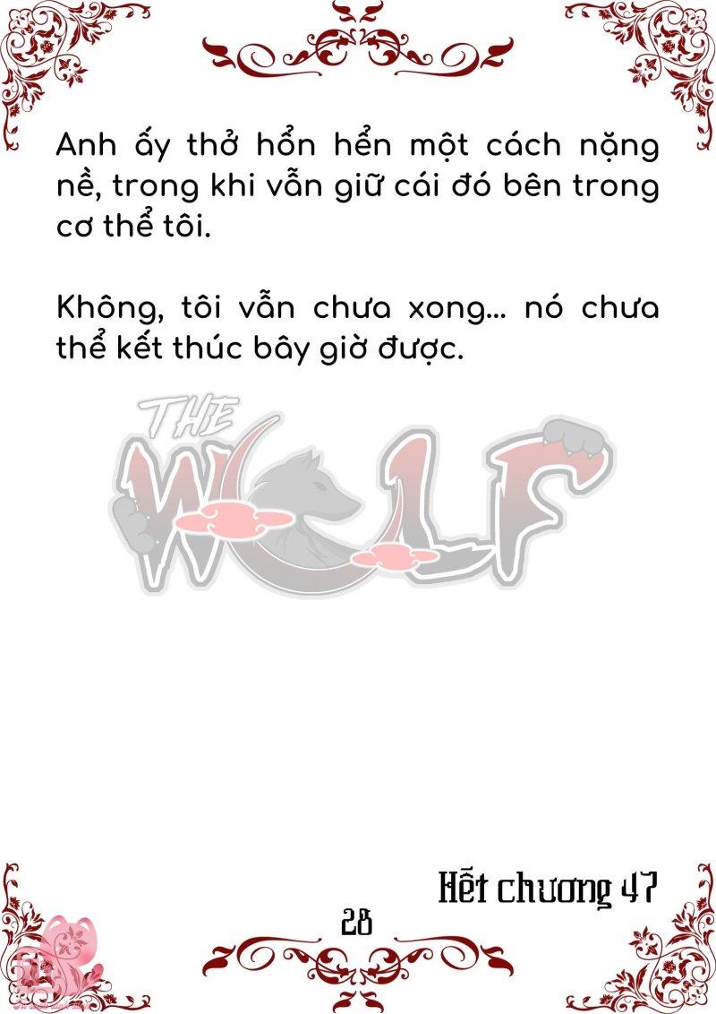 bầy sói giữa dane chapter 47 28