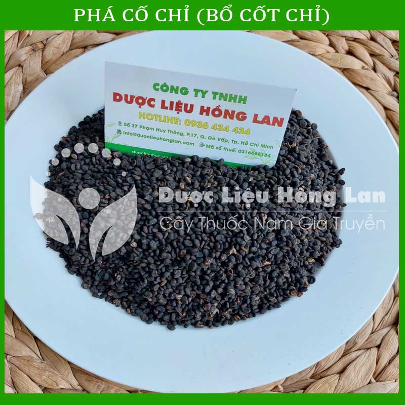 [Thượng hạng] 1KG Phá Cố Chỉ (Bổ Cốt Chỉ) khô sạch loại 1