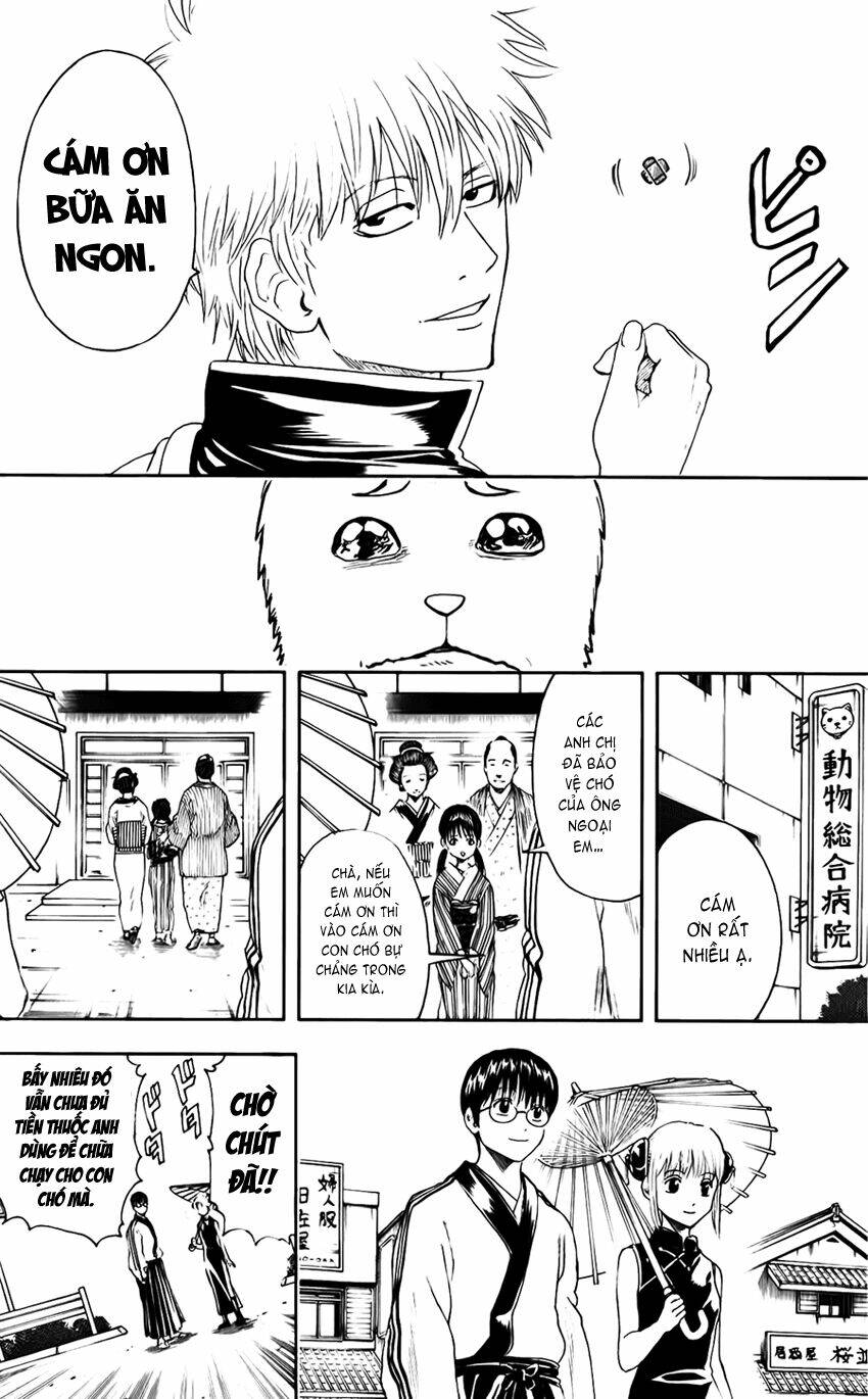 gintama - linh hồn bạc chapter 402 20