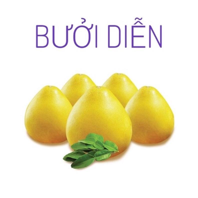 Cây giống bưởi diễn cho quả ăn vị ngọt đậm thanh mát.