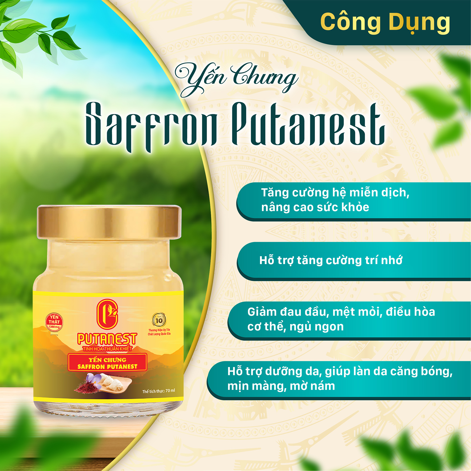 Yến chưng Saffron PUTANEST hộp quà tặng cao cấp 12 hũ 70ml bổ dưỡng đẹp da ngừa lão hoá