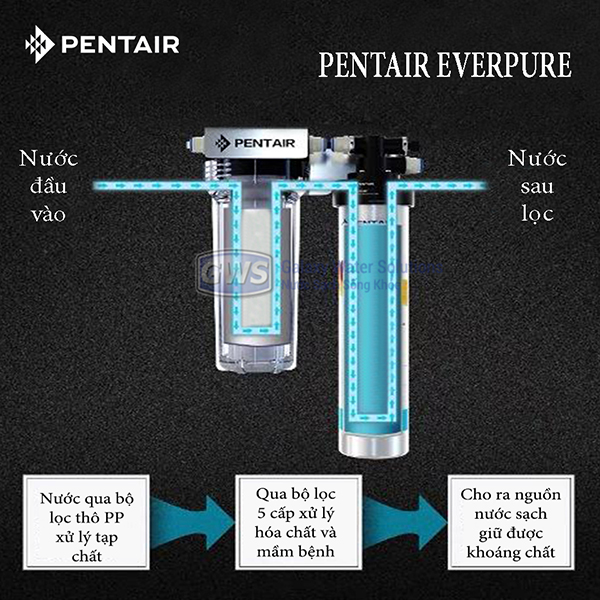 Máy lọc nước Pentair Everpure PBS-400 Standard [Chính hãng]