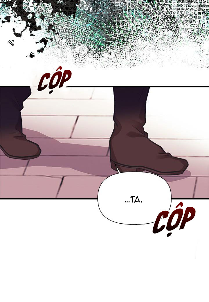 chị tôi đã nhặt về một nam chính quyến rũ chapter 58.1 10