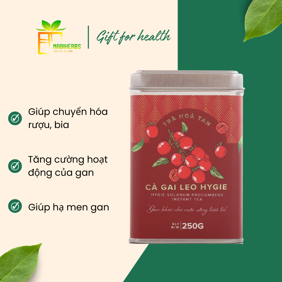 Trà Cà Gai Leo HYGIE Giúp hạ men gan - Giải rượu - Tăng cường hoạt động của gan