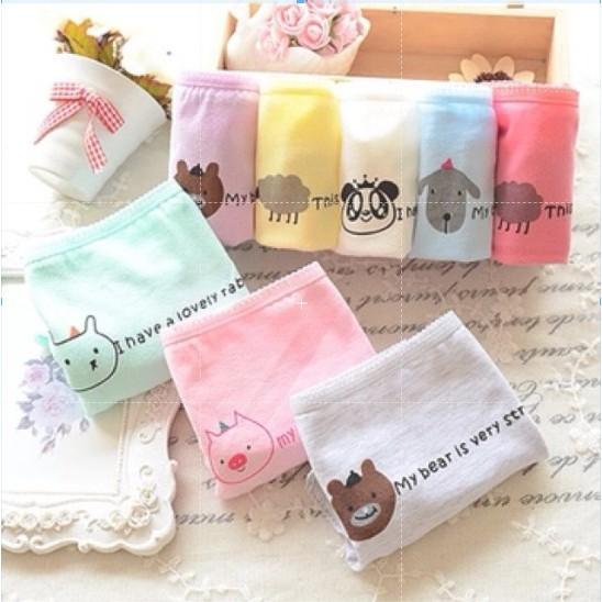 Quần Lót Nữ Cotton Hoa Hồng Thời Trang Xuất Hàn Hàng Loại Đẹp.