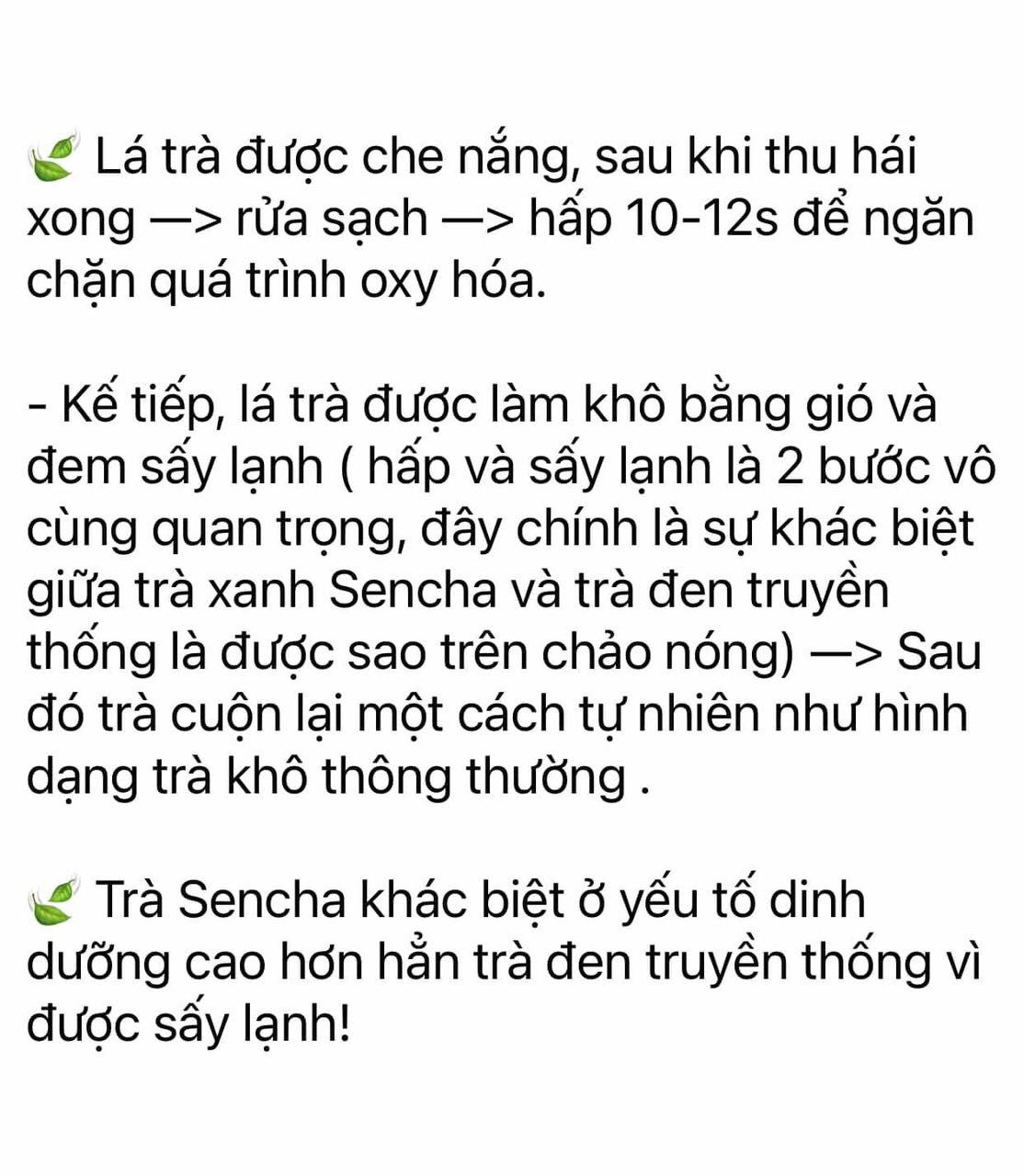 Trà Xanh Sencha MaikaFood Hộp 100gr 20 Gói