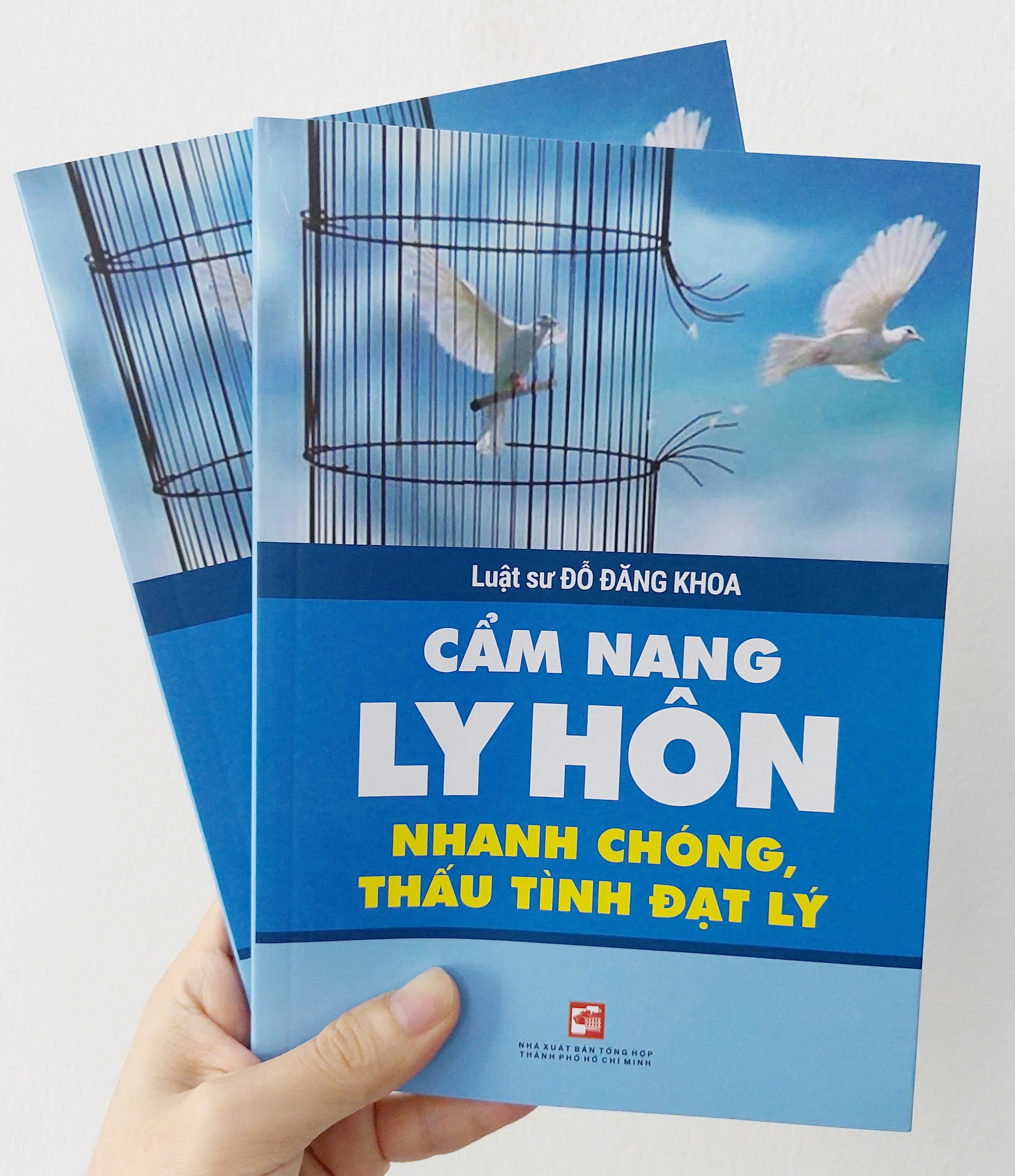 CẨM NANG LY HÔN - NHANH CHÓNG, THẤU TÌNH ĐẠT LÝ