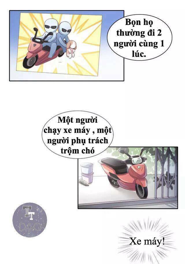 dưới móng vuốt mèo chapter 14 33