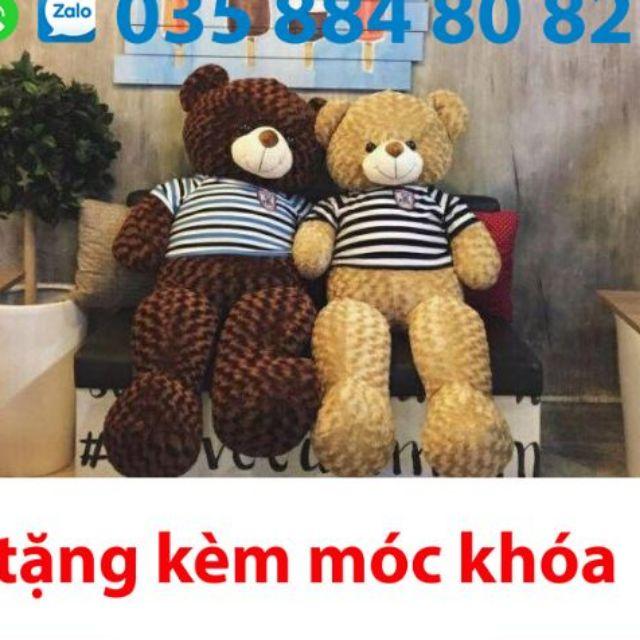 Gấu bông teddy khổ 1m2 cao 1m hàng vnxk siêu đẹp