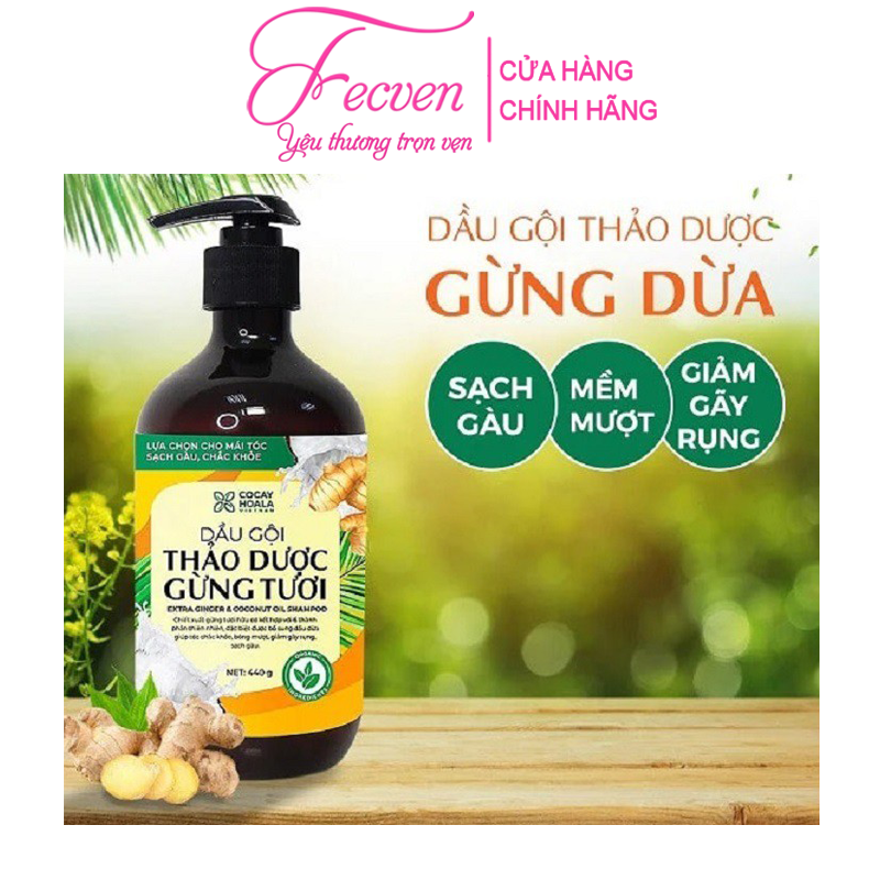 Dầu Gội Xả Gừng Dừa Hữu Cơ Cocayhoala Ngăn Rụng Tóc Kích Thích Mọc Tóc - Giảm Gàu - Ngừa Cảm Lạnh - Dưỡng Tóc Mềm Mượt Chắc Khỏe, FECVEN