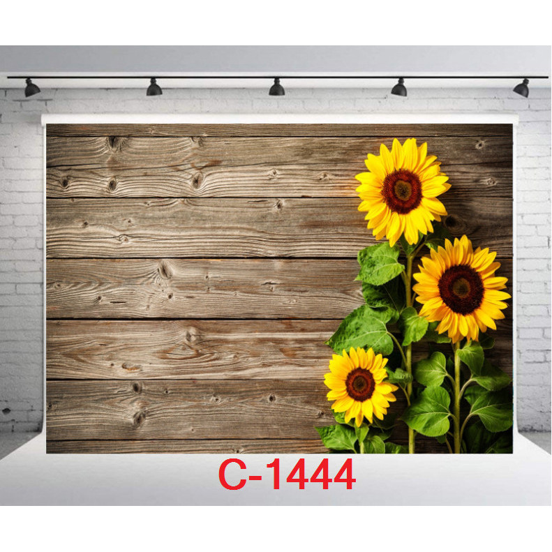 TẤM PHÔNG VẢI 3D CHỤP ẢNH kích thước 125x80cm Mẫu: C-1444