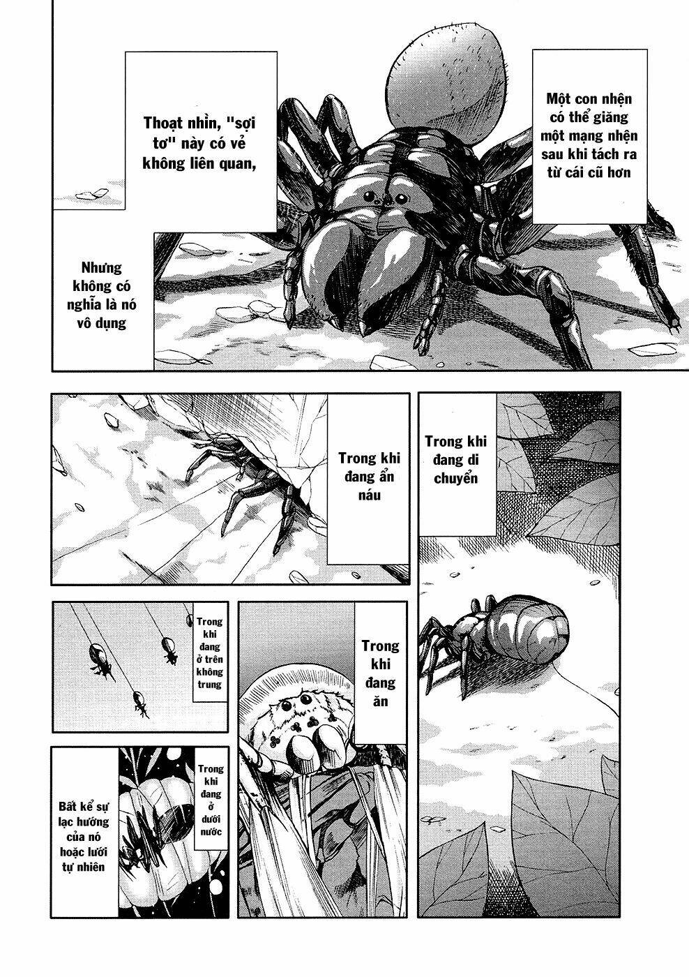 arachnid chapter 31 34
