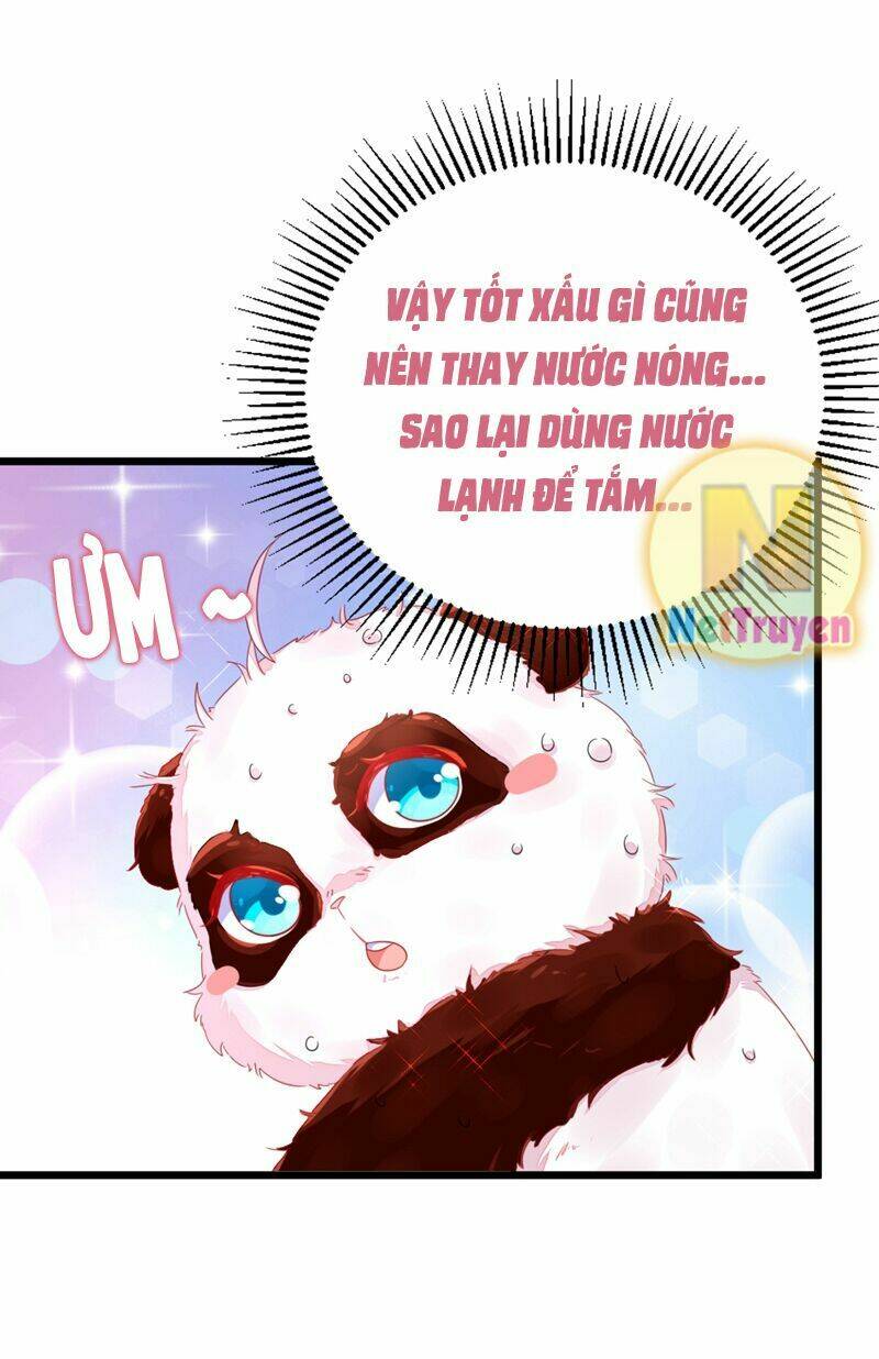 thiên thần gấu trúc muốn được ôm chapter 13 9