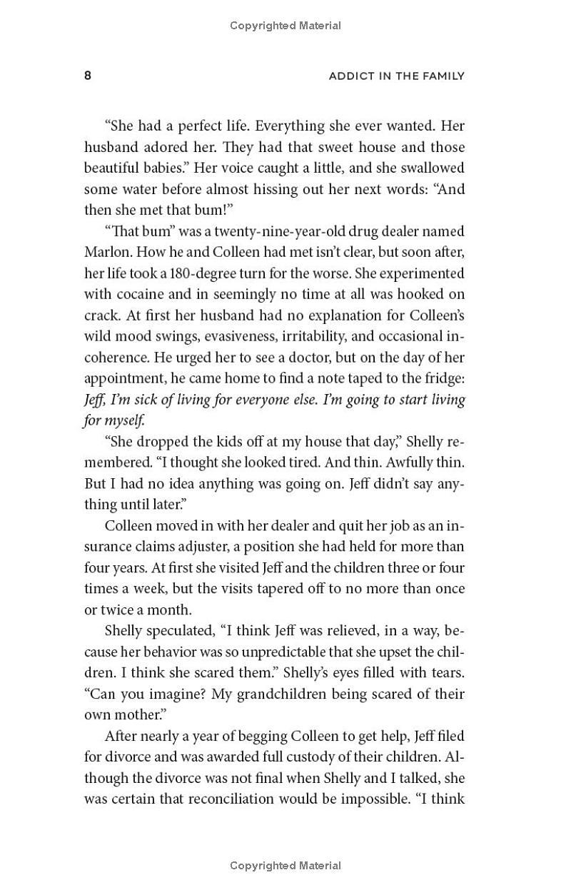 Sách ngoại văn: Addict In The Family - Support Through Loss, Hope, And Recovery