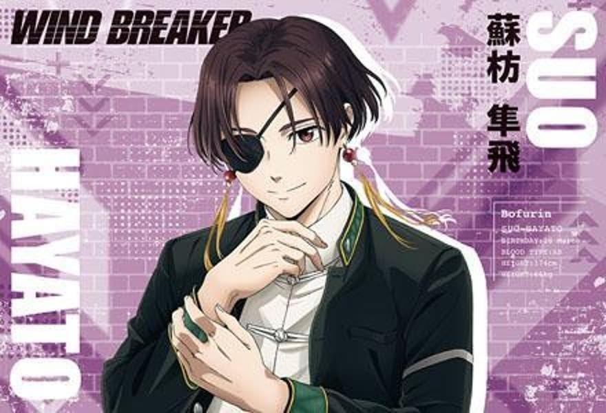 Sách ngoại văn: TVアニメ WIND BREAKER ポストカードブック Season1編 - TV Anime Wind Breaker Porster Card Book