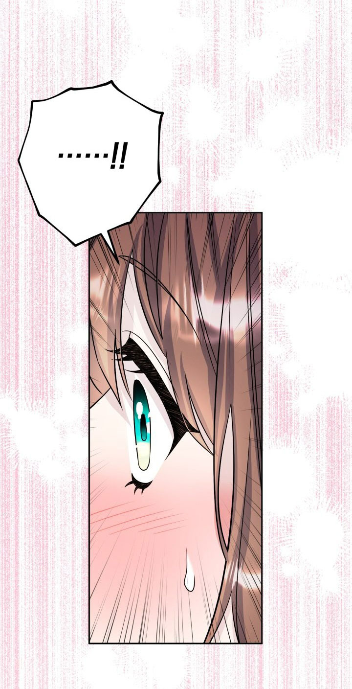 [18+] nếu cứu rỗi một cầm thú hư hỏng chapter 28.2 17