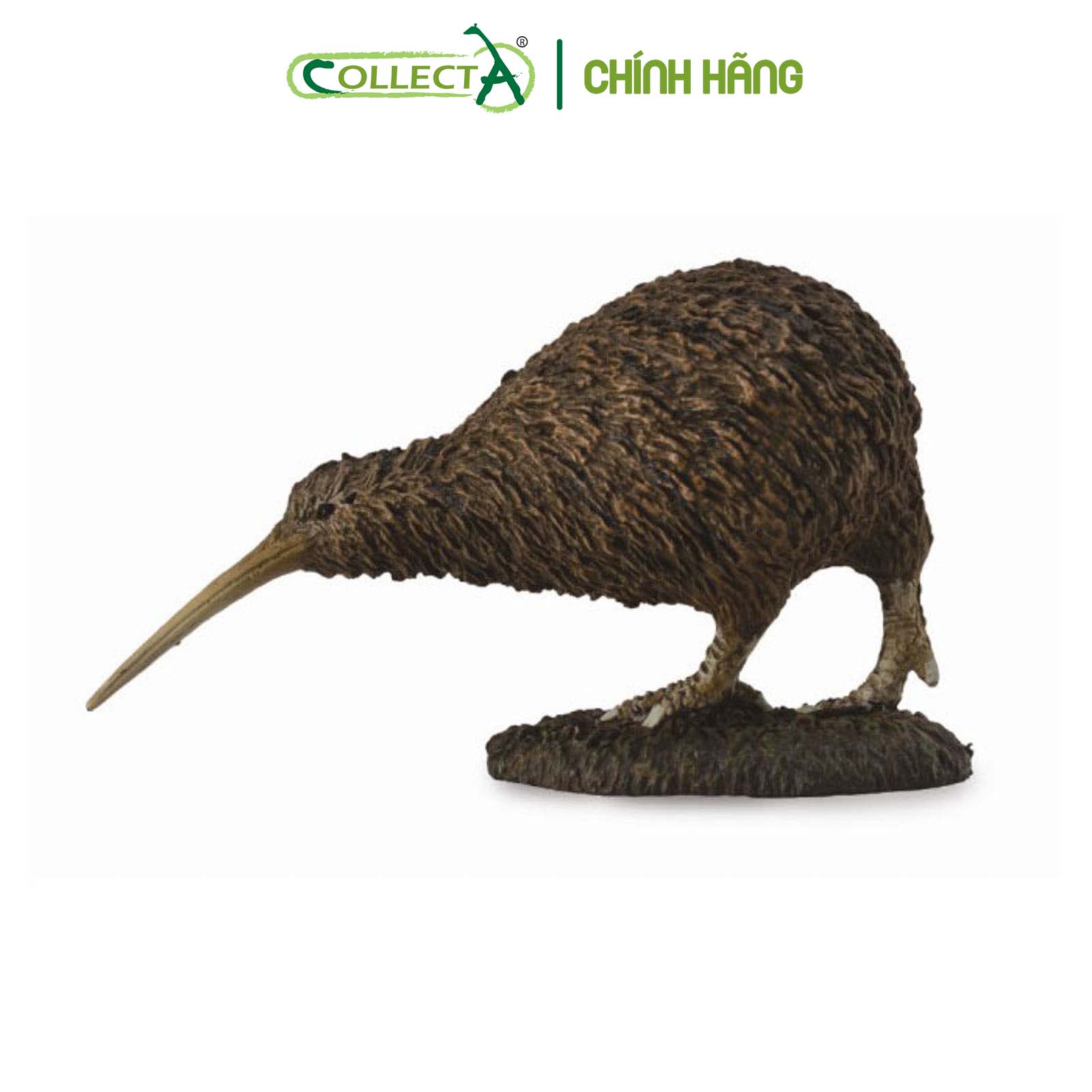 Mô hình thu nhỏ: Kiwi - Kiwi, hiệu: CollectA, mã HS 9651320[88731] -  Chất liệu an toàn cho trẻ - Hàng chính hãng